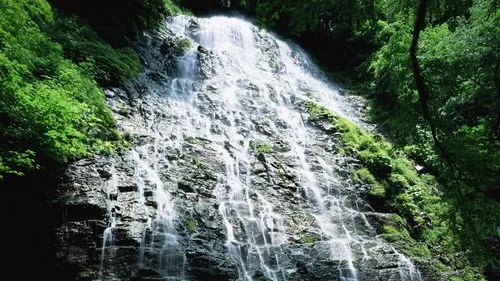稳定性高端高质量
